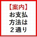 改通販⑫2022年赤枠B支払方法130Ｘ131.jpg