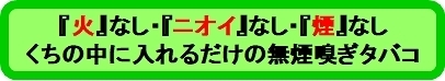 TOP嗅ぎタバコボタン-2020.03.jpg